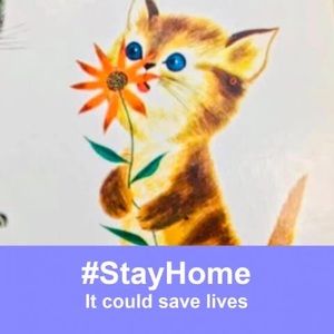 Meet your Posher, Sherry